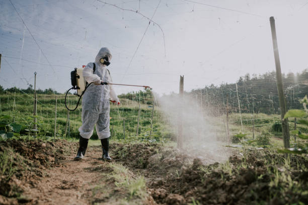 Best Pest Prevention Services  in Boscobel, WI