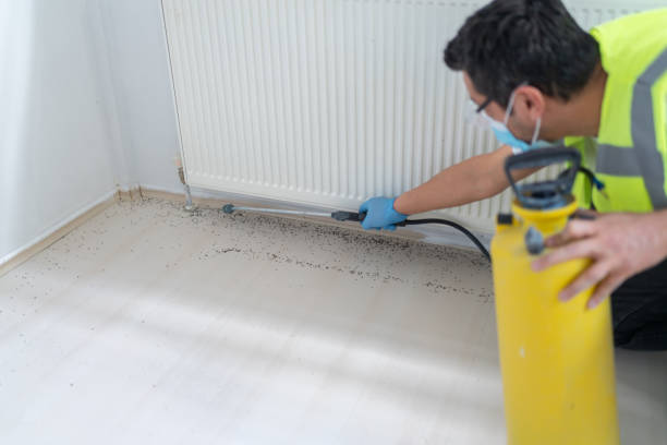 Best Exterminator Services  in Boscobel, WI